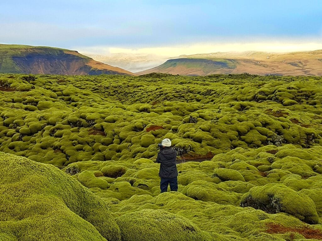 Les champs de lave en Islande