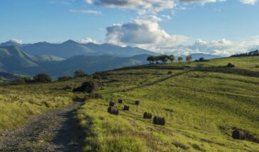 Séjour liberté dans les plaines et montagnes du pays basque