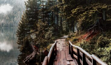 Pont dans le parc national des Durmitor