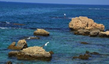 Trek au Liban : une personne pêchant dans la mer avec une vue sur le paysage du Liban qui s'offre à lui