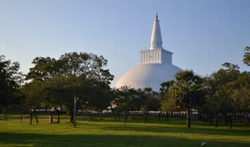 Anuradhapura temple Sri Lanka : il y a un temple blanc magnifique qui est entouré d'une plaine avec des arbres.
