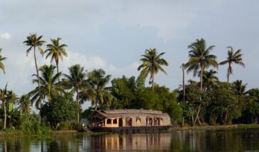 Faune Inde du Sud : une maison en forme de bateau au bord du lac et une forêt en face avec des palmiers.