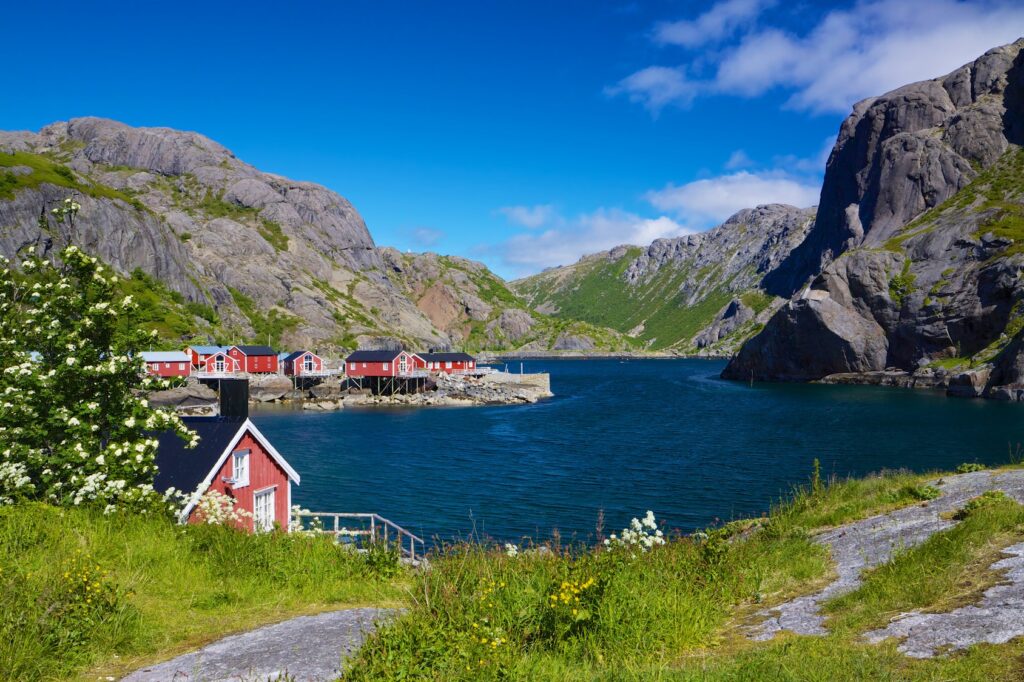 fjords montagne norvege