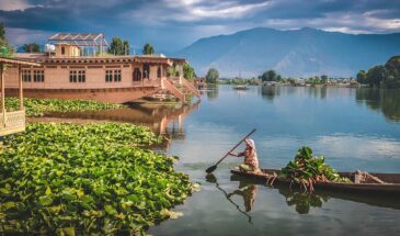 Inde voyage : une femme sur une pirogue avec des légumes, en train de ramer, en face des montagnes.