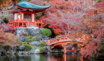 un temple japonais, au bord d'un lac, couvert des feuilles et des fleurs et un pont.