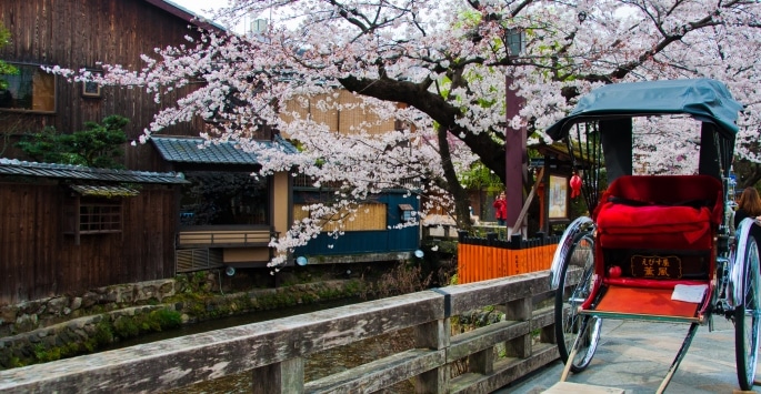 Japon trek : un paysage sur les rues du Japon, des fleurs et des maisons, un carrosse dans la rue.