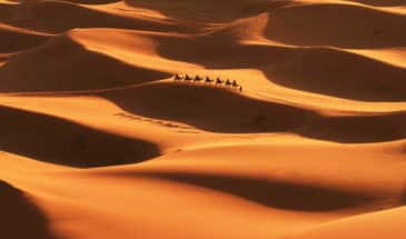 Découverte de l'Agérie et randonnée chamelière dans le nord du Méharée dans le désert