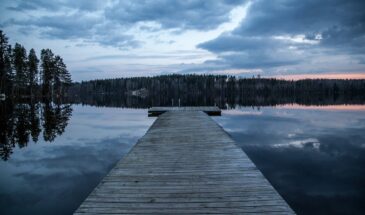 Circuit en Laponie: Paysage de la Taïga Finlandaise et son magnifique paysage durant l'hiver