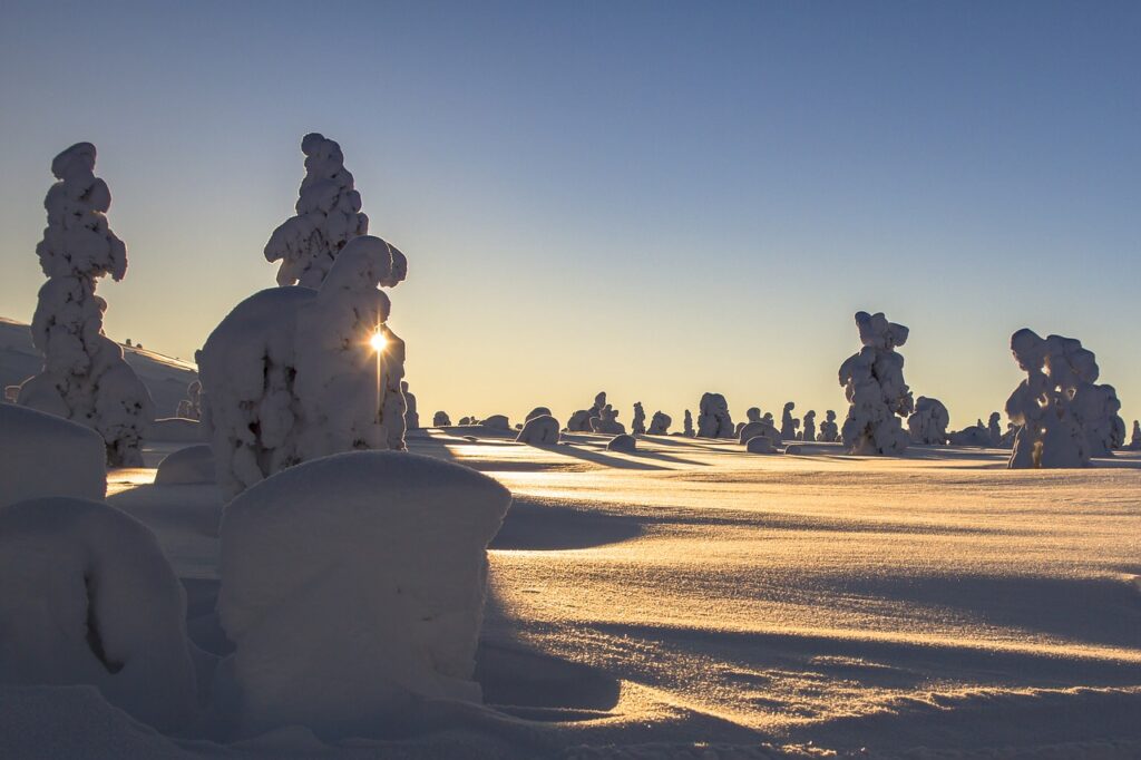 Circuit en Laponie finlandaise: Vue sur un paysage magnifique de la Finlande enneigé