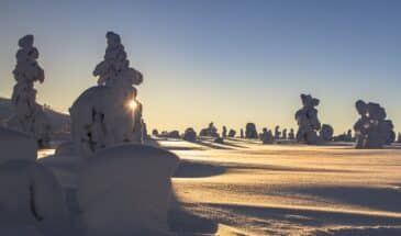 Circuit en Laponie finlandaise: Vue sur un paysage magnifique de la Finlande enneigé