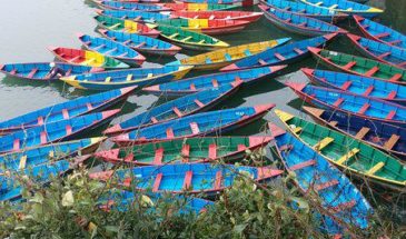 Pocara bateau : il y a de nombreuses barques colorées sur la rivière, au bord, il y a des écorces d'arbre.