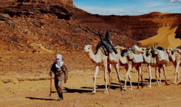 Randonnée chamelière en Algérie guidée par un Touareg dans le désert de Tassili dans le Hoggar