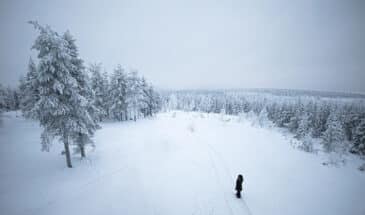 randonneur dans la forêt Finlande