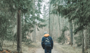 une randonnée dans forêt Finlandaise