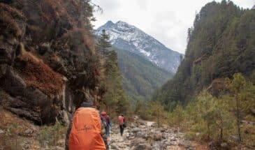 Randonneurs sentier Népal : des excursionnistes sur un chemin caillouteux dans une forêt en direction de montagne.