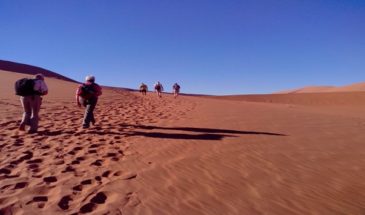 Touristes marchant dans le désert Namibien.