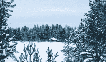 Séjour en hiver Laponie: visite et vue sur les paysages magnifique de la Laponie.