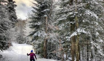 randonnée ski et raquette en Finlande