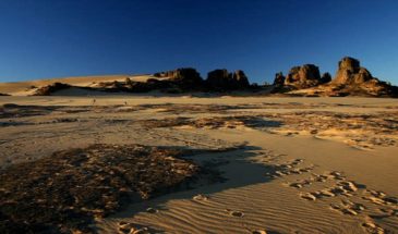 Touristes en randonnée à dos de chameau dans le désert Tassili Hoggar