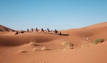 Randonnée chamelière de touristes dans le désert.