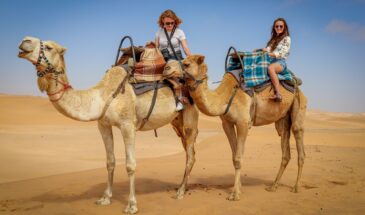 Touristes à dos de chameau dans le désert.