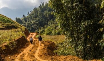 Trek sapa Viêt Nam : il y a des randonneurs qui se promènent sur le chemin de terre, le long d'une forêt.