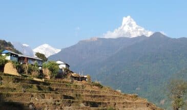 Village rizière Népal : il y a un village en haut d'escalier, en face des montagnes verdoyantes.