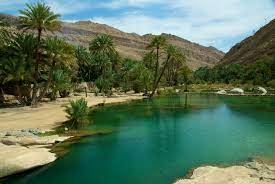 paysage vue palmier et lac omanais