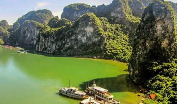 Croisière en bateau baie d'Halong : un décor paradisiaque, avec des collines recouvertes de végétation.