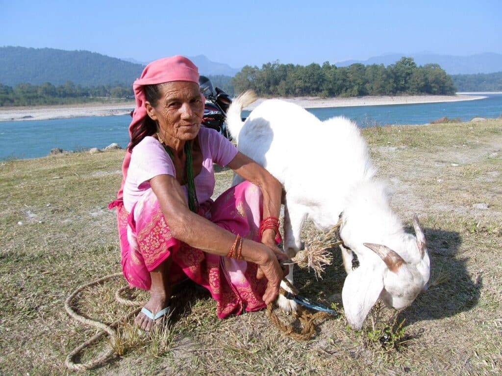 Ghorepani trekking : on voit une femme accroupie qui tient une chèvre, dans de la verdure et derrière coule un lac.