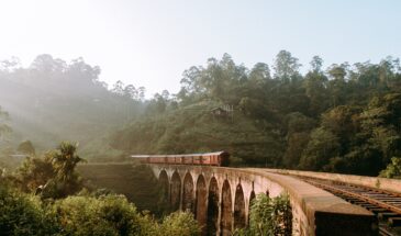 Nine arches bridge Sri Lanka architecture colonial : il y a une forêt et un pont sur lequel roule un train.