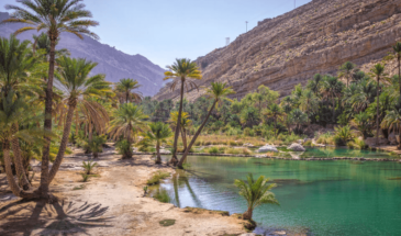 Paysage d'Oman: un paysage magnifique à admirer avec une vue sur les palmiers et un lac omanais.