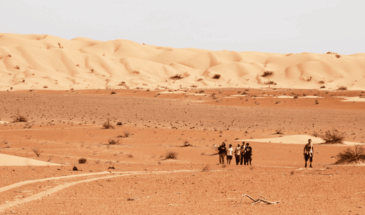 Désert Sultanat d'Oman, des randonneurs marchent sur le sable orangé du désert admirant un paysage apaisant.