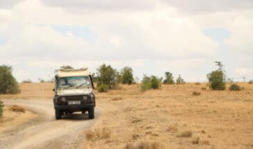 Safari en 4x4 sur la route dans le désert au Kenya