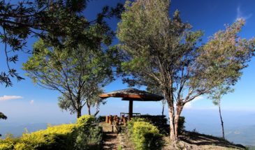 Trek montagnes Sri Lanka : il y a une petite terrasse avec des arbres au bord d'une falaise avec une magnifique vue.