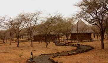 Village traditionnel Kenya au milieu du désert on y voit des cases et des arbres