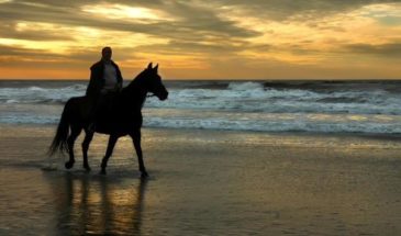 Randonneur sur le dos d'un cheval sur la plage