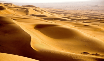 Le désert d'Oman, vue sur un désert de sable doré sous un magnifique ciel bleu et ensoleillé.