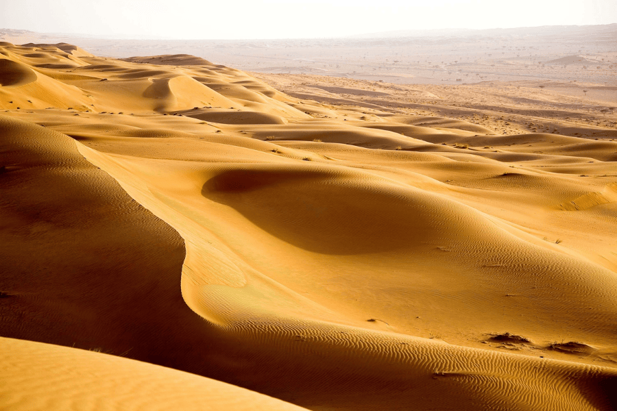 Le désert d'Oman, vue sur un désert de sable doré sous un magnifique ciel bleu et ensoleillé.