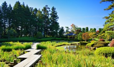 Jardin Japonais : un chemin frayé au milieu d'un jardin japonais sous un ciel dégagé.