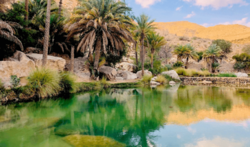 Vue sur des montagnes d'Oman bordées par une oasis et ses palmiers