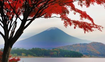 Randonnée au Japon : il y a un arbre avec des feuilles rouges, au bord d'un lac, des collines et une montagne.
