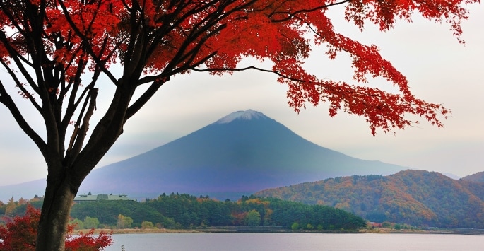 Randonnée au Japon : il y a un arbre avec des feuilles rouges, au bord d'un lac, des collines et une montagne.