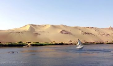 Croisière en Egypte sur le lac Nasser au beau milieu du désert et de la végétation