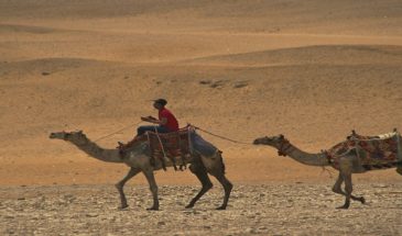 Trouriste en randonnée guidée sur le dos d'un chameau dans un désert en Egypte