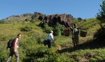 Tourisme à Madagascar, touristes dans la forêt