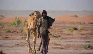 Nomade dans le désert mauritanien.