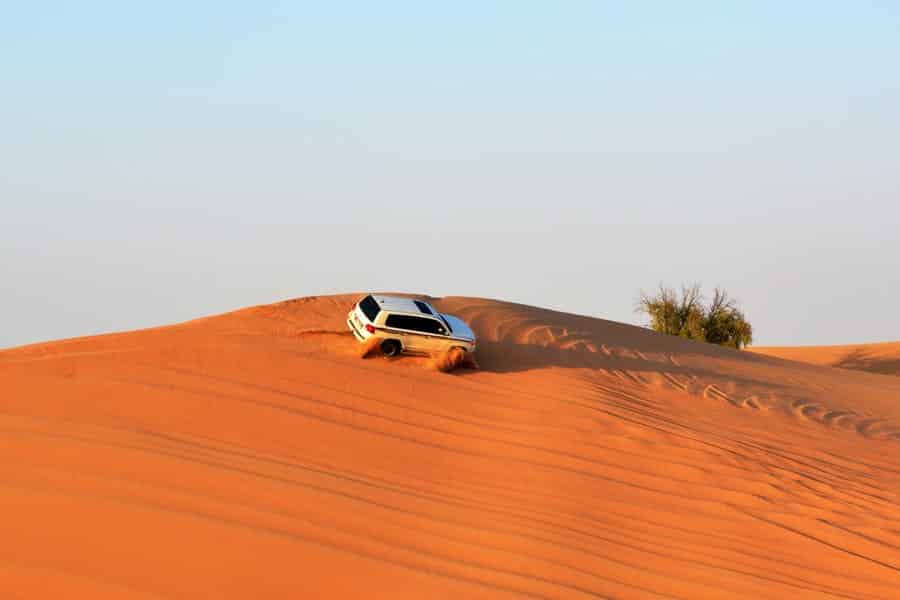 Oasis de l'Adrar en 4x4 en raid dans le désert.
