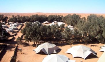 Bivouac dans les arbres du désert de Tunisie.