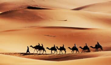 Touristes en Tunisie, en randonnée chamelière dans le désert.
